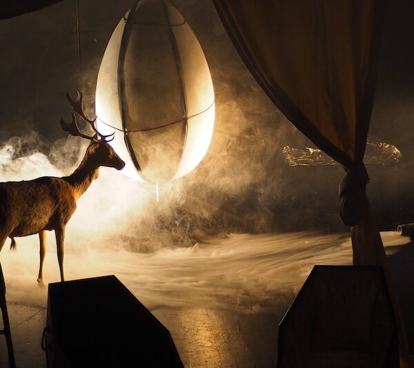 Et tout est rentré dans le désordre