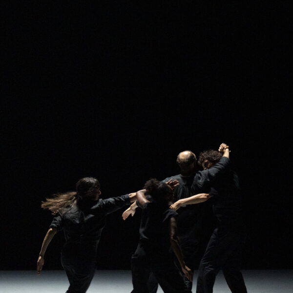 à l’ombre d’un vaste détail, hors tempête.