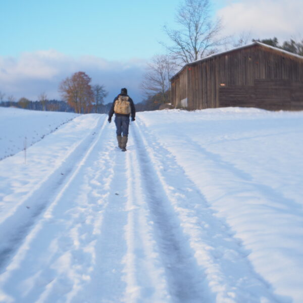 Sur le chemin des glaces